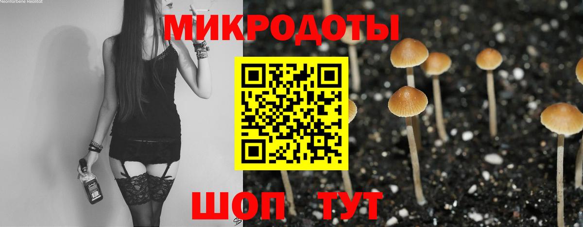 Галлюциногенные грибы прущие грибы Белгород